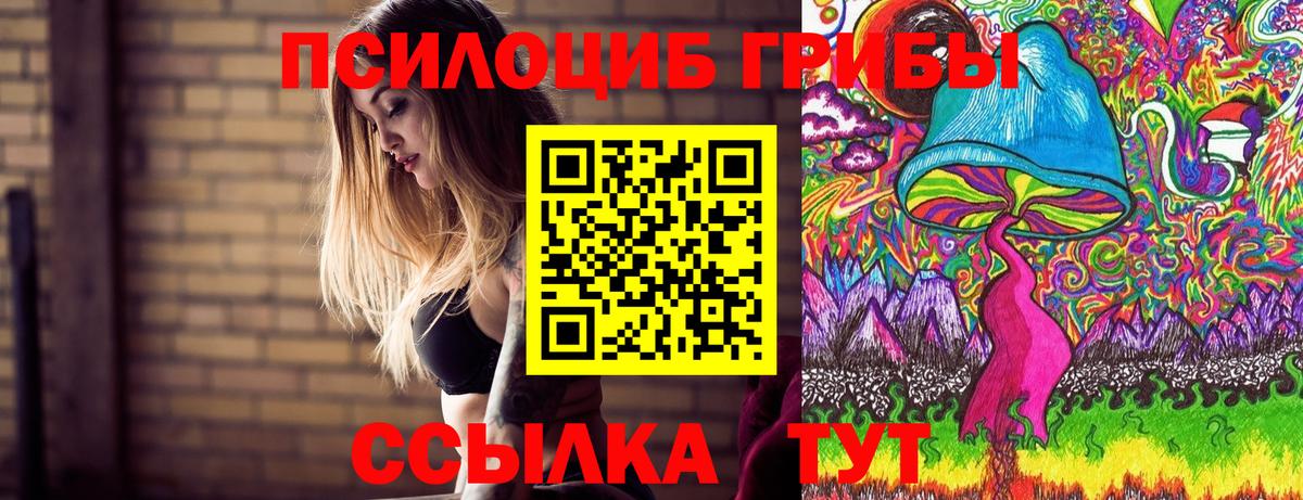 Галлюциногенные грибы MAGIC MUSHROOMS  Вход с VPN  купить   Берёзовский 