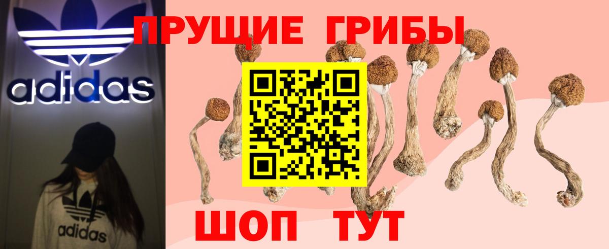 Псилоцибиновые грибы ЛСД Берёзовский